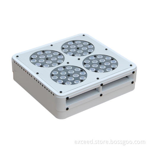 650mA 4kg led grow light